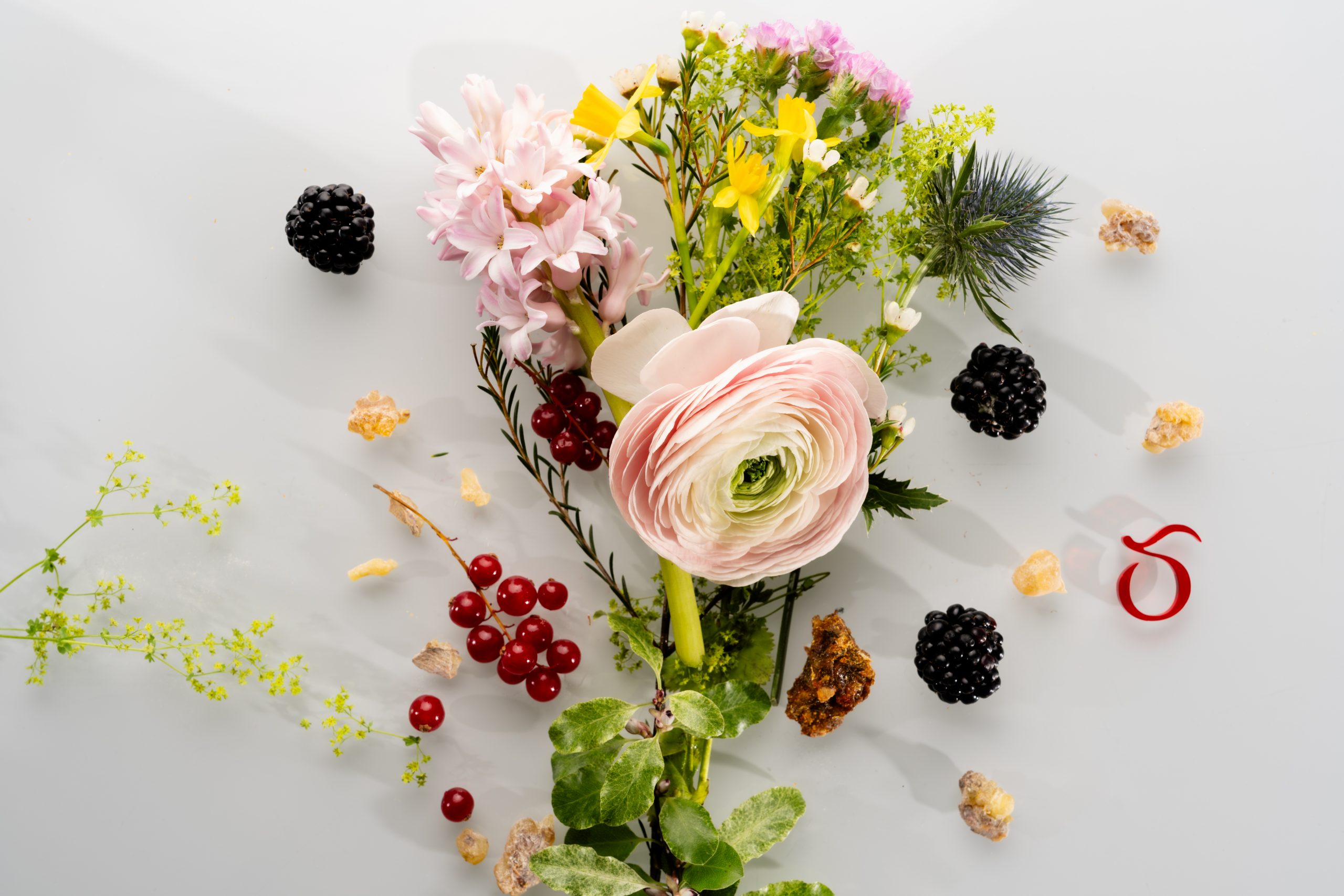 Bouquet floral artistique représentant des matières premières de parfumerie